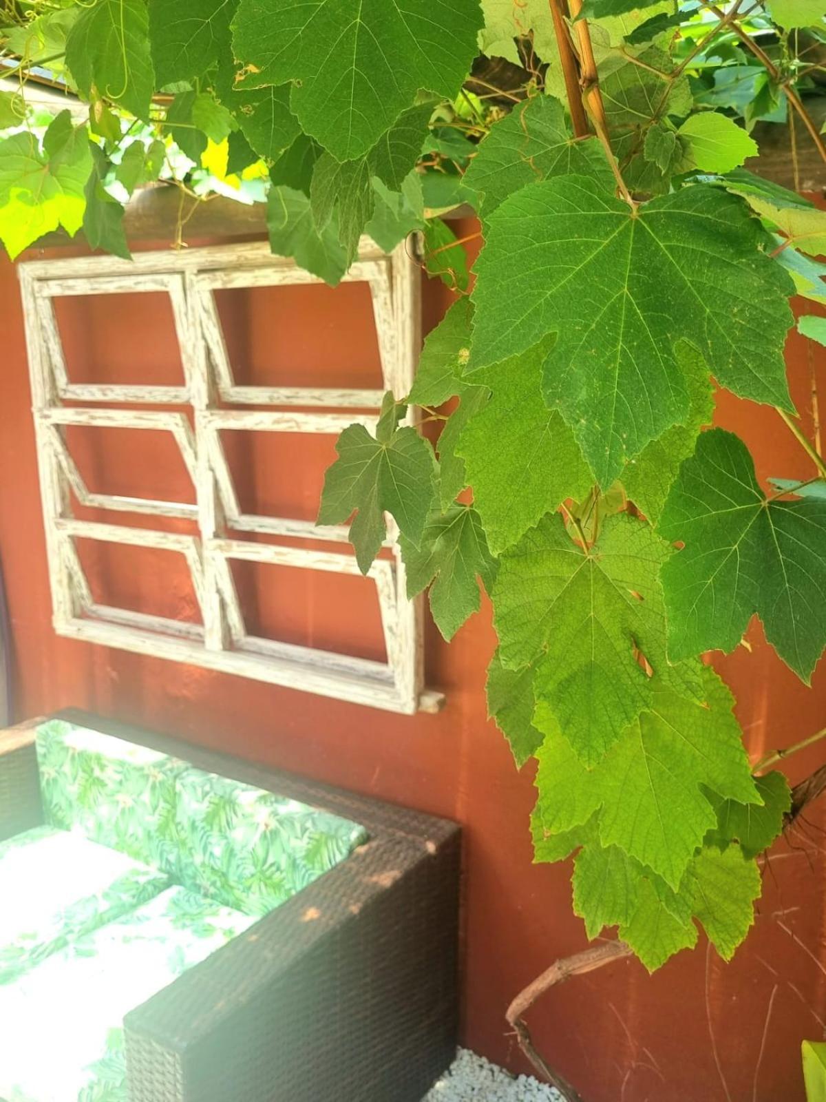Pousada Vila Jabutis Guaruja Ngoại thất bức ảnh