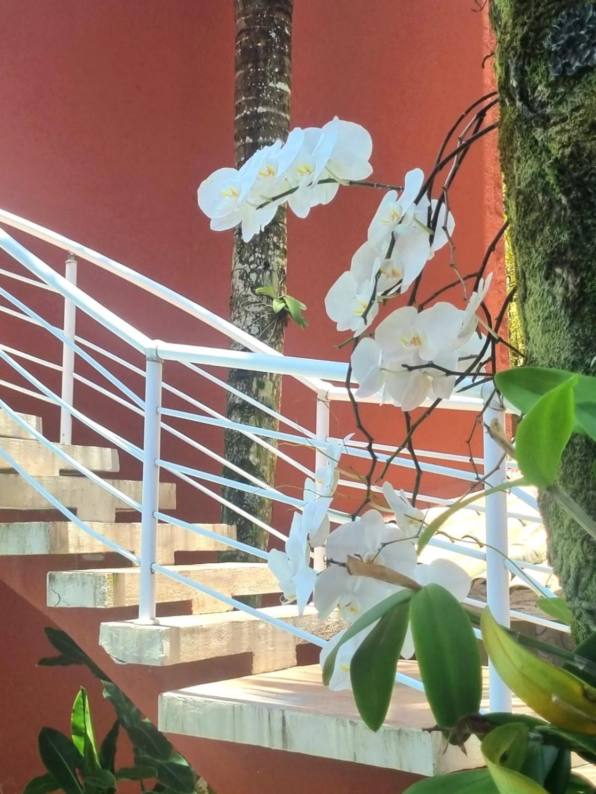 Pousada Vila Jabutis Guaruja Ngoại thất bức ảnh